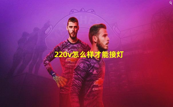 220v怎么样才能接灯