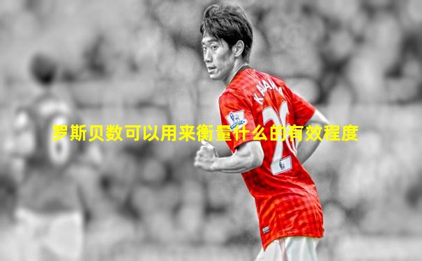 罗斯贝数可以用来衡量什么的有效程度