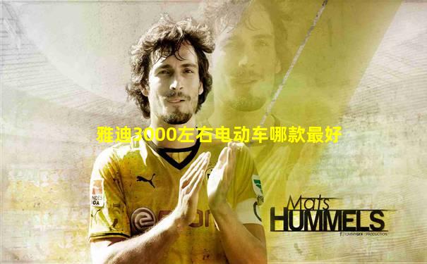 雅迪3000左右电动车哪款最好